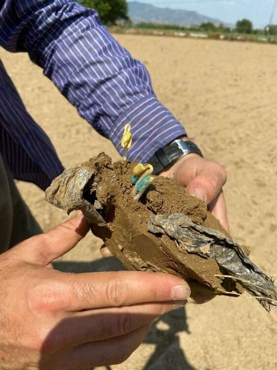 “TOPRAKTAN SOFRAYA UZANABİLECEK RİSK”