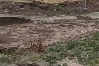 Tanzanya'da meydana gelen sel ve heyelanlarda ölü sayısı 68'e yükseldi