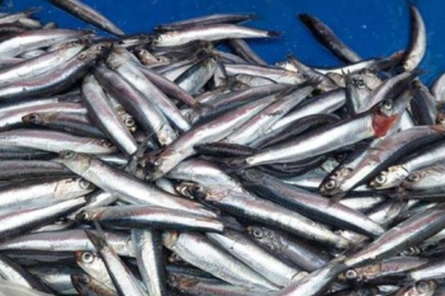 Balık fiyatlarında fırtına yükselişi!