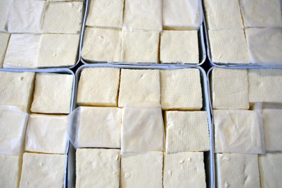 Ezine peyniri AB'den coğrafi işaret tescili aldı