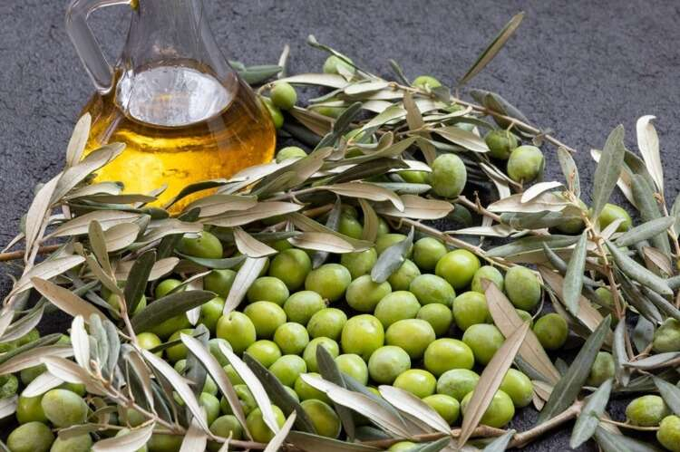 5- Milas zeytinyağı