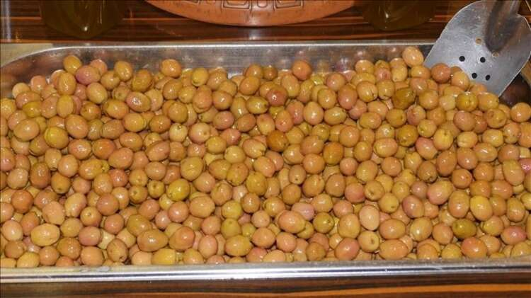 17- Edremit Körfezi yeşil çizik zeytini