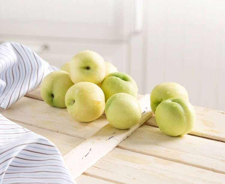 6- Bayramiç beyazı