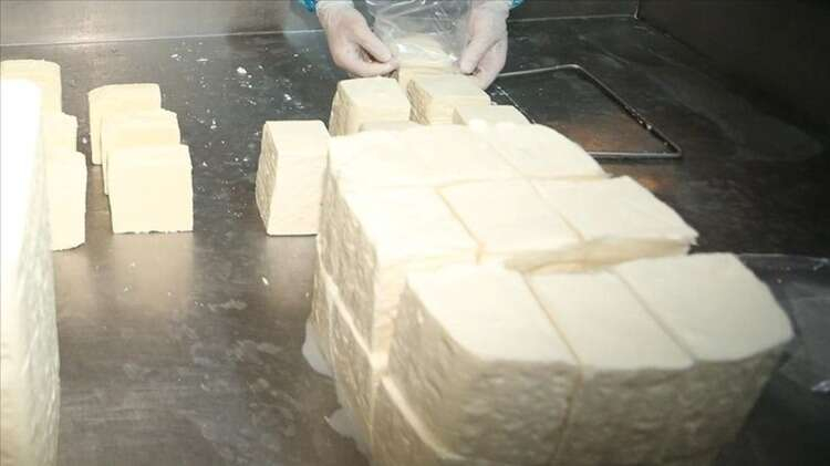 ​​​​​​​18- Ezine peyniri