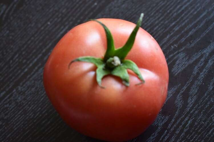 15- Ayaş domatesi