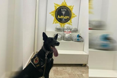 "Naz" uyuşturucuları yine buldu! 4 kişi tutuklandı