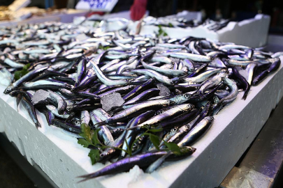 Türkiye'nin hamsi ihracatı 12,2 milyon dolara ulaştı