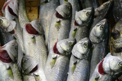 Lüfer'in kilosu 750 TL'ye yükseldi