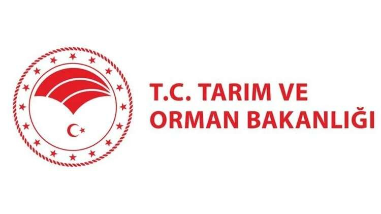 DİĞER ALIMLAR