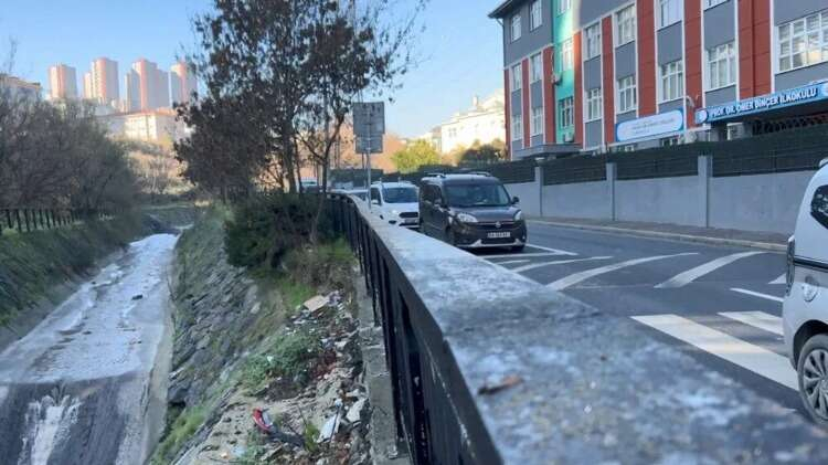 "BÜYÜK İHTİMAL KİMYASAL ATIKLARDAN KAYNAKLANIYOR"