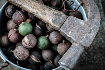 Yemeklere katın doktor yüzü görmeyin! Bu iki baharat virüslere göz açtırmıyor!