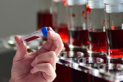 Japon bilim insanları açıkladı! En zeki insanların ortak noktaları...