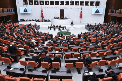 TBMM'de bu hafta hangi konular görüşülecek
