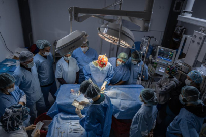 Bursa'da Hayvan Hastanesi’nde 'online randevu' dönemi