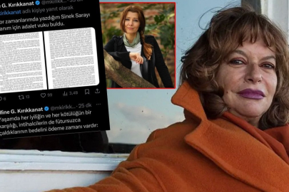 Mine Kırıkkanat, Elif Şafak'a açtığı davayı kazandı