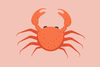 Yengeç sepeti sendromu nedir?