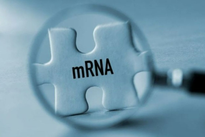 Kansere karşı mRNA devrimi başladı