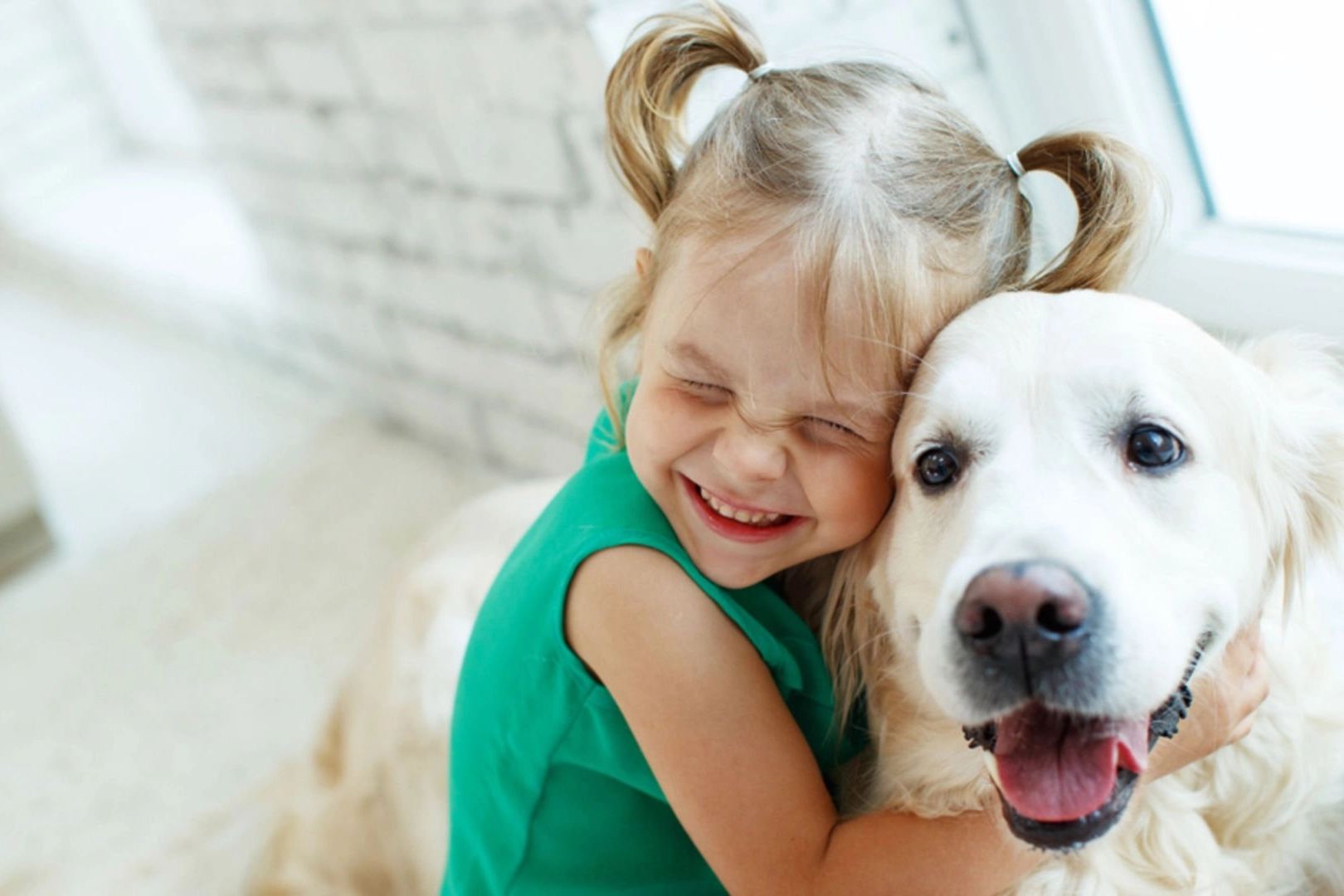 Hayvanlar nasıl iletişim kuruyorlar? Hareketleri bizlere ne anlatıyor?