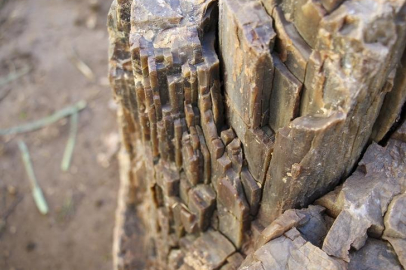 Türkiye’de de bulundu! Böylesi çok nadir çıkıyor, türünü bile henüz tespit edemediler