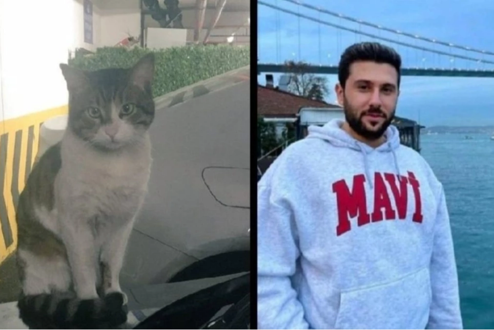 Kediyi tekmelerek öldüren İbrahim Keloğlan tutuklandı mı?