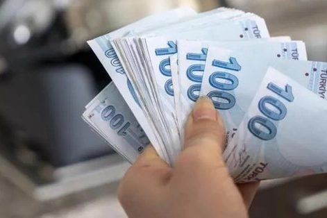 SED yardımı ne zaman yatacak? 2024 Şubat SED ödemeleri