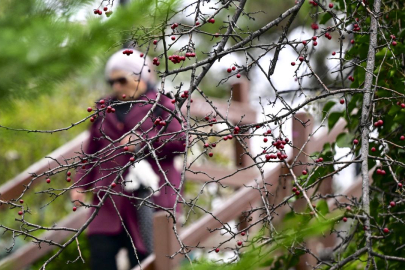 Son 53 yılın en sıcak ocak ayı yaşandı