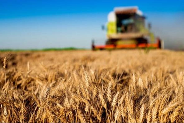 Tarım ve Orman Bakanlığı işçi alımı kura çekimi ne zaman?