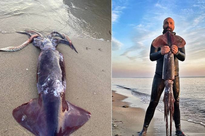 Zıpkınla 10 kiloluk uçan kalamar yakaladı