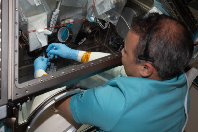 Alper Gezeravcı'nın uzayda yaptığı mikroalg deneyinden ilk sonuç alındı