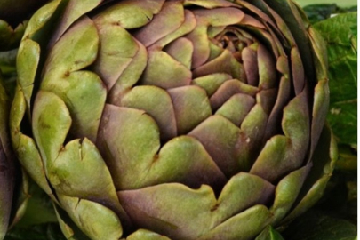 Enginarın saymakla bitmeyen faydaları