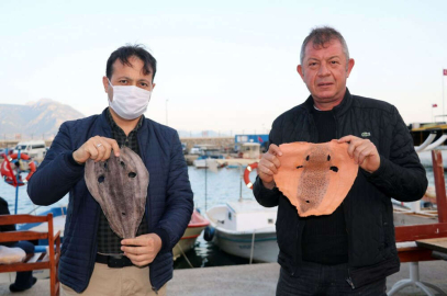 Balon balığı avlayan balıkçılara tane başı 25 TL destek ödemesi yapılacak!