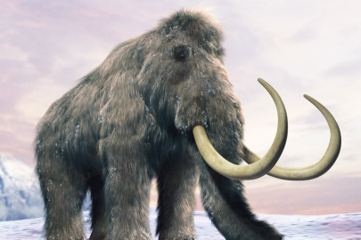 Mamutlar 4 bin yıl sonra dönüyor