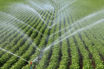 DSİ 36 ayda 420 bin hektar tarım alanını suyla buluşturacak