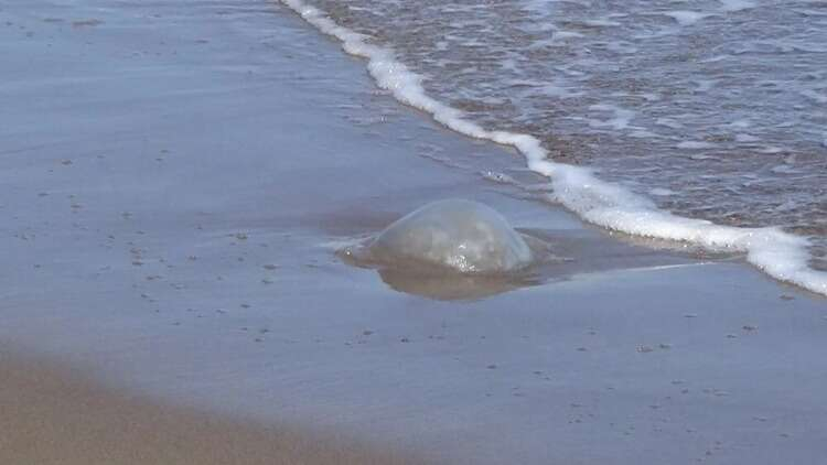 TEMAS HALİNDE SAĞLIK KURULUŞUNA GİDİLMELİ