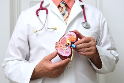 Türkiye'de böbrek yetmezliği vakaları artıyor