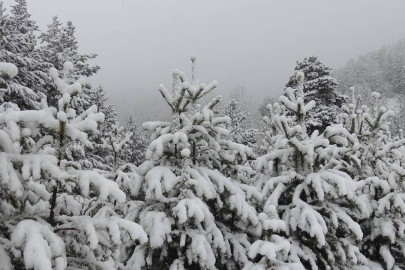 Doğuda soğuk hava hakim