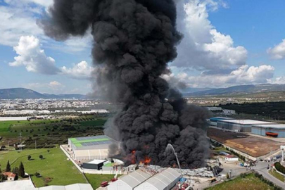 İzmir'de 13 saat süren yangının boyutu ortaya çıktı!