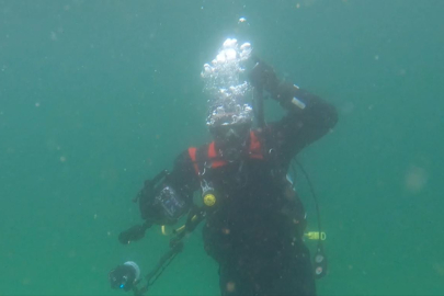 Marmara Denizi'ni bekleyen tehlike: İstila!