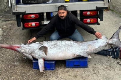 Adana'da 150 kiloluk kılıç balığı yakalandı