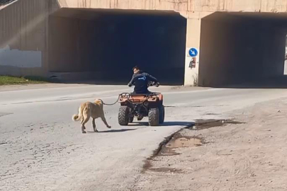 Vicdansız! Bursa'da ATV'sine bağladığı köpeğini sürükledi...