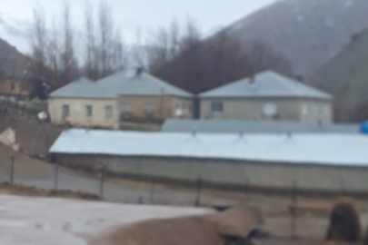 Hakkari'de dere taştı, 5 ahırı su bastı