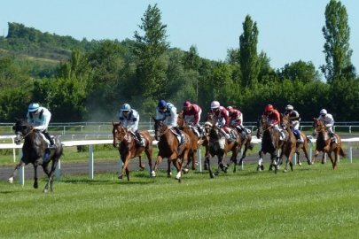 TJK at yarışı sonuçları yayımlandı! 18 Mart 2024 Pazartesi Bursa at yarışı sonuçları...