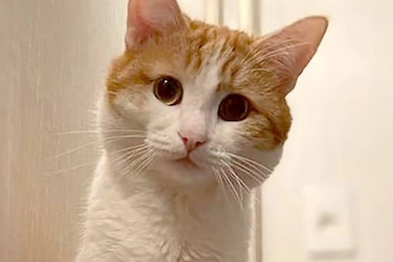 "Sınav gözetmeni 5. kattan itti" iddiası