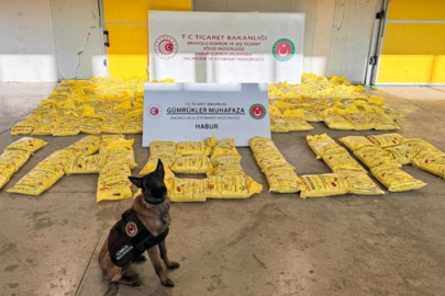 Habur Gümrük Kapısı'ndaki operasyonunda rekor yakalama! 850 kilogram eroin ele geçirildi