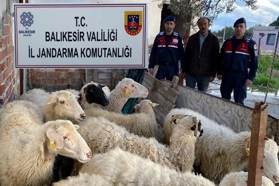 Jandarma EFT dolandırıcılarını yakaladı