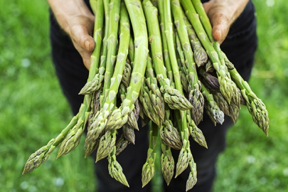 Sağlık deposu kuşkonmazının faydaları