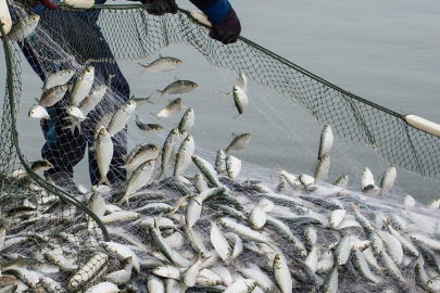 Su ürünleri ihracatında hedef 2 milyar dolar