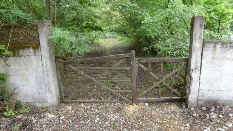 KADAVRA KÖPEĞİ İLE ARAMA ÇALIŞMASI BAŞLATILDI