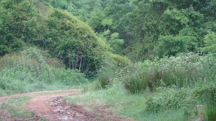 PANTOLONUN ALT KISMI PARÇALANMIŞ