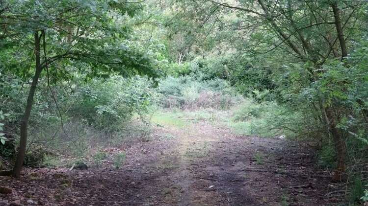 YOLUNU MU KAYBETTİ?